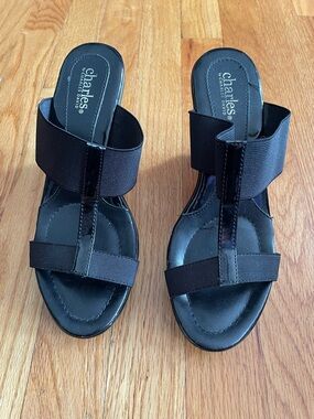 Charles David Wedges